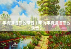 手机通话怎么录音（华为手机通话怎么录音）
