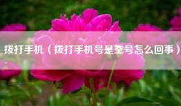拨打手机（拨打手机号是空号怎么回事）