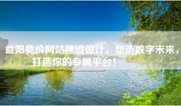 益阳竞价网站建设设计，塑造数字未来，打造你的专属平台！🌟