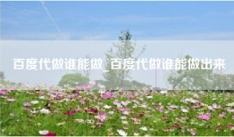 百度代做谁能做_百度代做谁能做出来