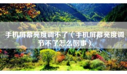 手机屏幕亮度调不了（手机屏幕亮度调节不了怎么回事）