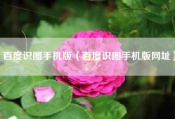 百度识图手机版（百度识图手机版网址）
