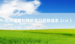 如何使用和降低客户获取成本（CAC）