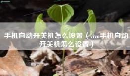 手机自动开关机怎么设置（vivo手机自动开关机怎么设置）