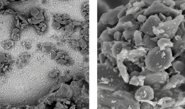 什么是扫描电镜（SEM）？