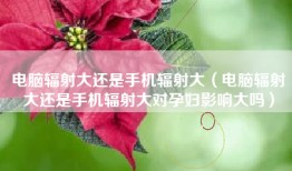 电脑辐射大还是手机辐射大（电脑辐射大还是手机辐射大对孕妇影响大吗）