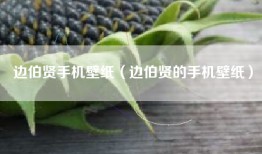 边伯贤手机壁纸（边伯贤的手机壁纸）