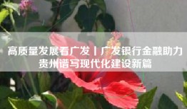 高质量发展看广发丨广发银行金融助力贵州谱写现代化建设新篇