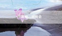 黑帽seo研究会
