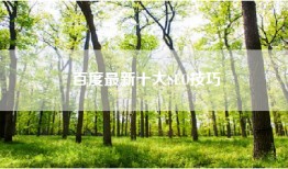 百度最新十大SEO技巧