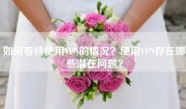 如何看待使用VPN的情况？使用VPN存在哪些潜在问题？