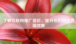 了解互联网推广竞价，提升你的网络营销效果