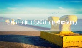 怎样让手机（怎样让手机横屏使用）