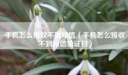 手机怎么接收不到短信（手机怎么接收不到短信验证码）