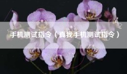 手机测试指令（真我手机测试指令）