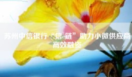 苏州中信银行“信e链”助力小微供应商高效融资