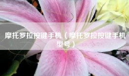 摩托罗拉按键手机（摩托罗拉按键手机型号）