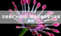 百度推广SEO优化：实战经验分享与深度解析