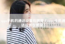 oppo手机的通话设置在哪里（oppo 手机通话设置在哪里）