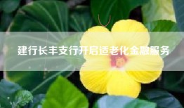 建行长丰支行开启适老化金融服务