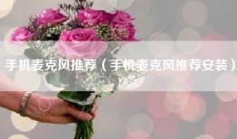 手机麦克风推荐（手机麦克风推荐安装）