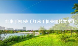 红米手机2壳（红米手机壳图片大全）