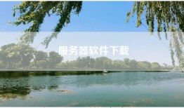 服务器软件下载