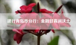建行青岛市分行：金融甘霖润沃土