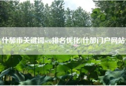什邡市关键词seo排名优化(什邡门户网站)