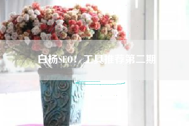 白杨SEO：工具推荐第二期