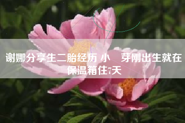 谢娜分享生二胎经历 小咘芽刚出生就在保温箱住7天