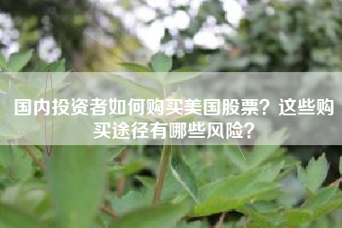 国内投资者如何购买美国股票？这些购买途径有哪些风险？