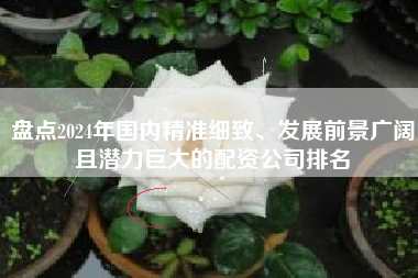 盘点2024年国内精准细致、发展前景广阔且潜力巨大的配资公司排名