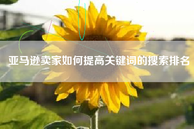 亚马逊卖家如何提高关键词的搜索排名