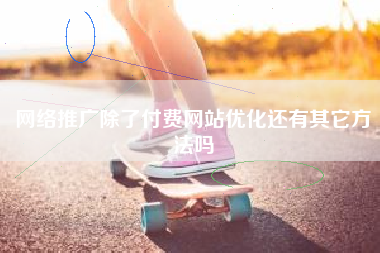 网络推广除了付费网站优化还有其它方法吗