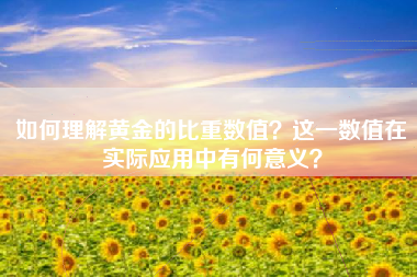 如何理解黄金的比重数值？这一数值在实际应用中有何意义？