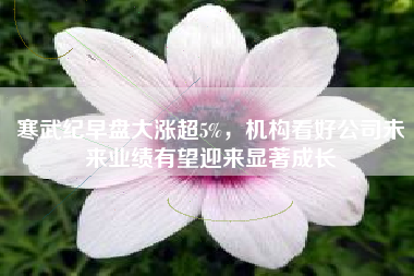 寒武纪早盘大涨超5%，机构看好公司未来业绩有望迎来显著成长