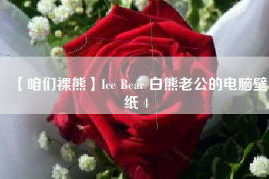 【咱们裸熊】Ice Bear 白熊老公的电脑壁纸 4