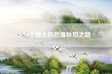 一个博士的悲催秋招之路