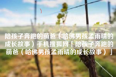 陪孩子奔跑的萌爸（哈佛男孩孟雨晴的成长故事）手机搜狐网「陪孩子奔跑的萌爸（哈佛男孩孟雨晴的成长故事）」