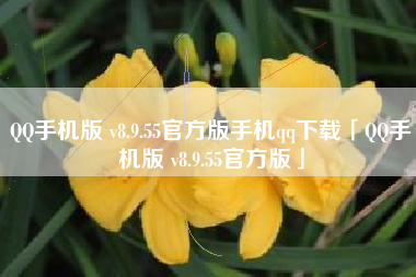 QQ手机版 v8.9.55官方版手机qq下载「QQ手机版 v8.9.55官方版」