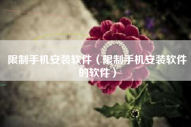 限制手机安装软件（限制手机安装软件的软件）
