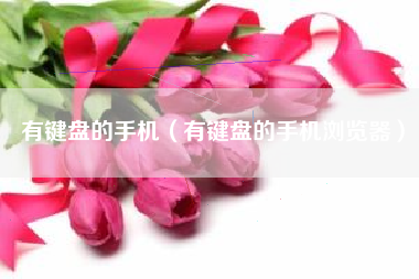 有键盘的手机（有键盘的手机浏览器）