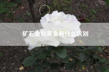 矿石金和黄金有什么区别