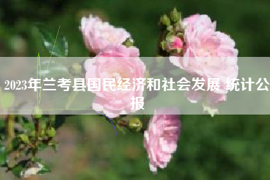 2023年兰考县国民经济和社会发展 统计公报