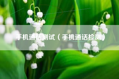 手机通话测试（手机通话检测）