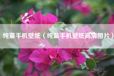 纯蓝手机壁纸（纯蓝手机壁纸高清图片）