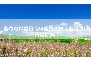 蓝莓可以直接吃吗蓝莓手机「蓝莓可以直接吃吗」