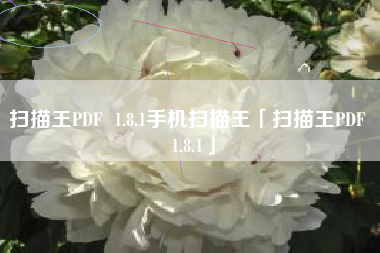 扫描王PDF  1.8.1手机扫描王「扫描王PDF  1.8.1」