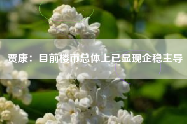 贾康：目前楼市总体上已显现企稳主导